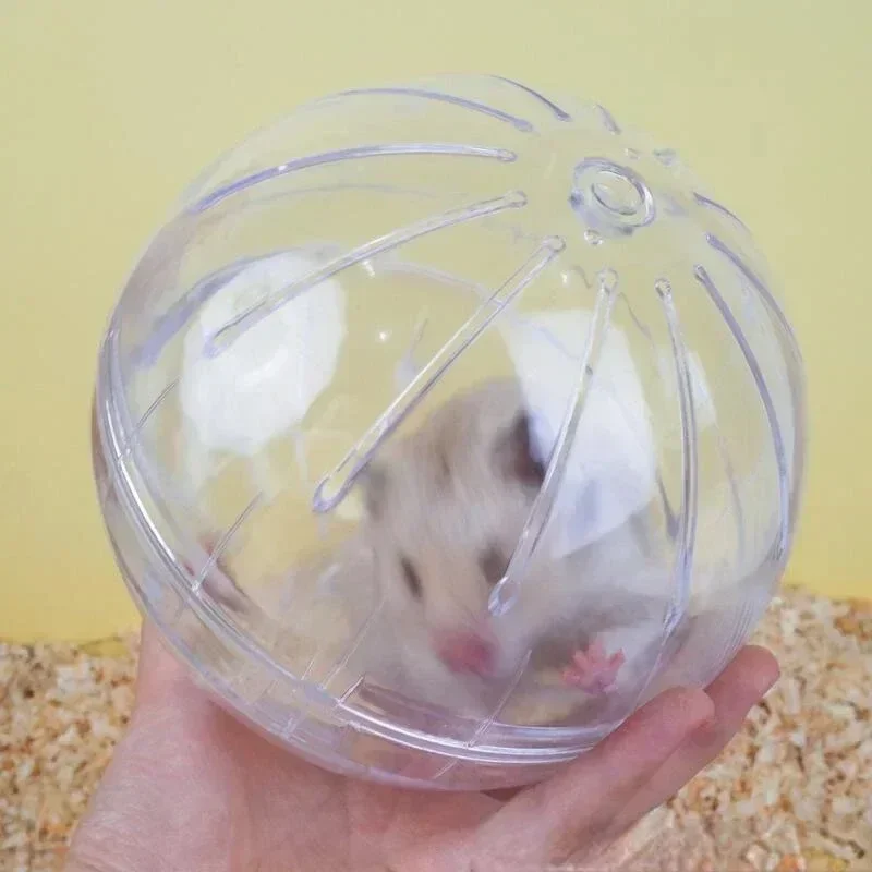 MOONBIFFY Hamster Rennende Bal | Transparant Ademend Ontwerp | Kleine Dieren Fitness Toy | Loopwiel - Image 3