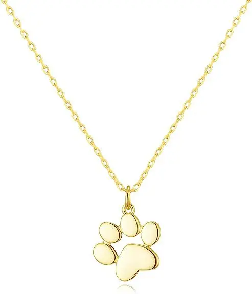 Gepersonaliseerde RVS Ketting met Gravure | Huisdiernaam & Pootafdruk Herinneringssieraad | 16mm Hanger | Unisex | Uniek Cadeau voor Dames & Heren | Duurzaam & Modieus