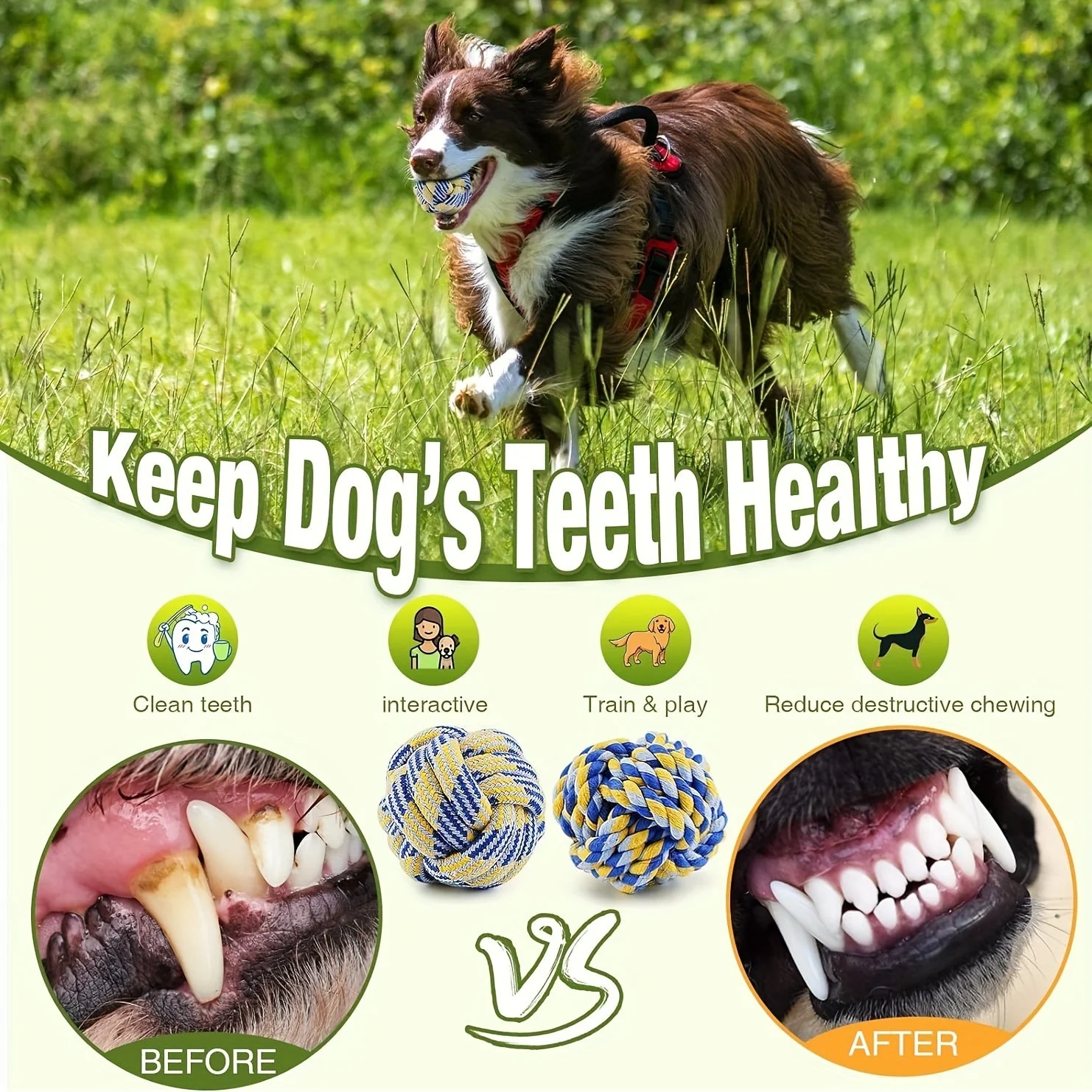 4-delige Honden Speelgoedset | Stevig touw en ballen | Duurzaam kauwspeelgoed voor alle hondenrassen | Bevordert tandreiniging en actief spel - Image 9
