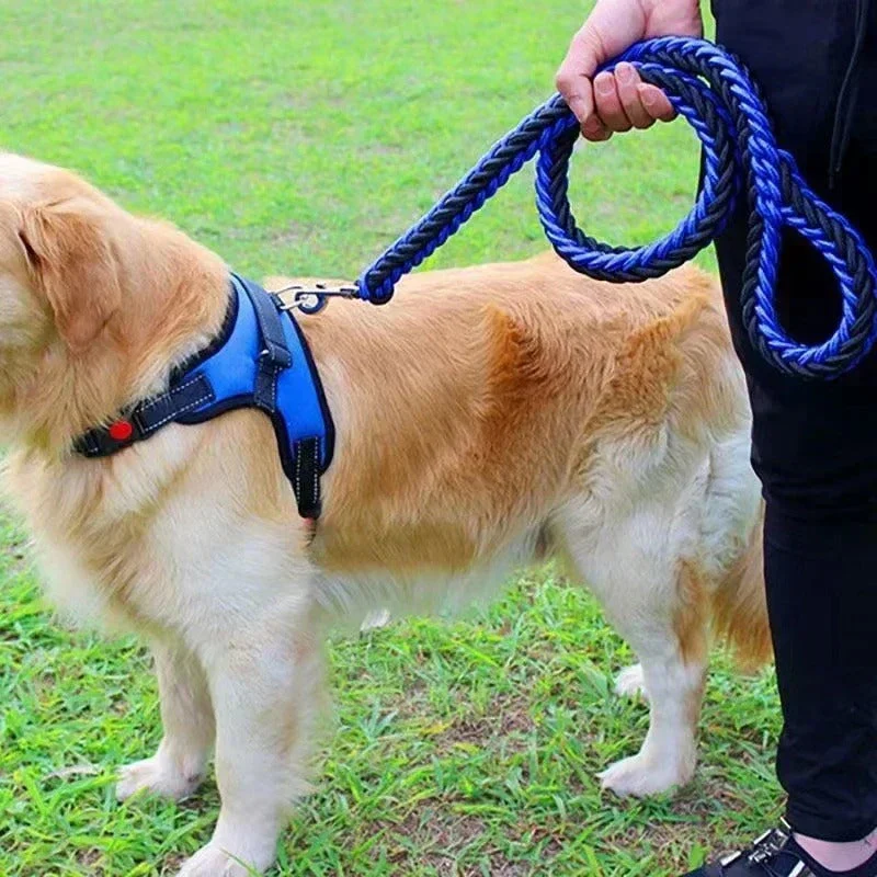 Duurzame Nylon Hondenriem | Grote & Middelgrote Honden | Veilig & Comfortabel