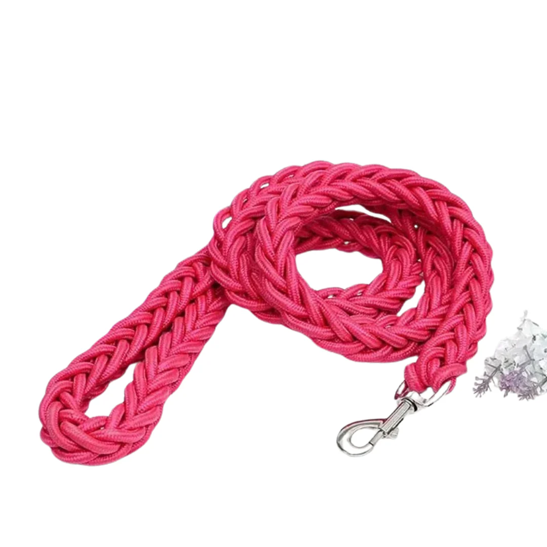Duurzame Nylon Hondenriem | Grote & Middelgrote Honden | Veilig & Comfortabel - Image 9