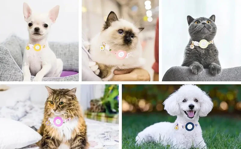 AirTag Kattenhalsband – Veilig, Breakaway & Met Belletje - Image 2