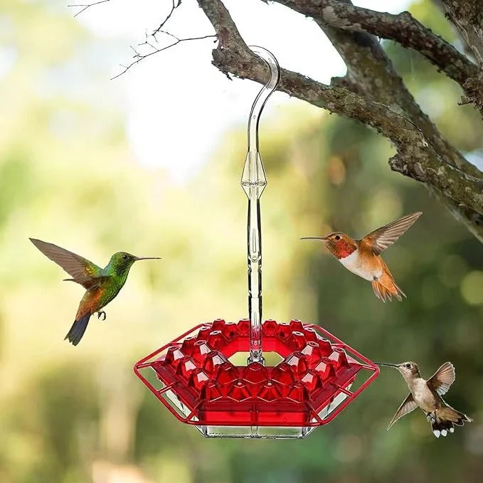 Honingvogel Voeder | 30 Voeropeningen | Hangend ontwerp | Ingebouwde Antivoorziening | UV-bestendig | Makkelijk schoon te maken | Aantrekkelijke Kleuren | Ideaal voor Tuin of Balkon | Dierenbenodigdheden