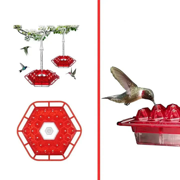 Honingvogel Voeder | 30 Voeropeningen | Hangend ontwerp | Ingebouwde Antivoorziening | UV-bestendig | Makkelijk schoon te maken | Aantrekkelijke Kleuren | Ideaal voor Tuin of Balkon | Dierenbenodigdheden - Image 4