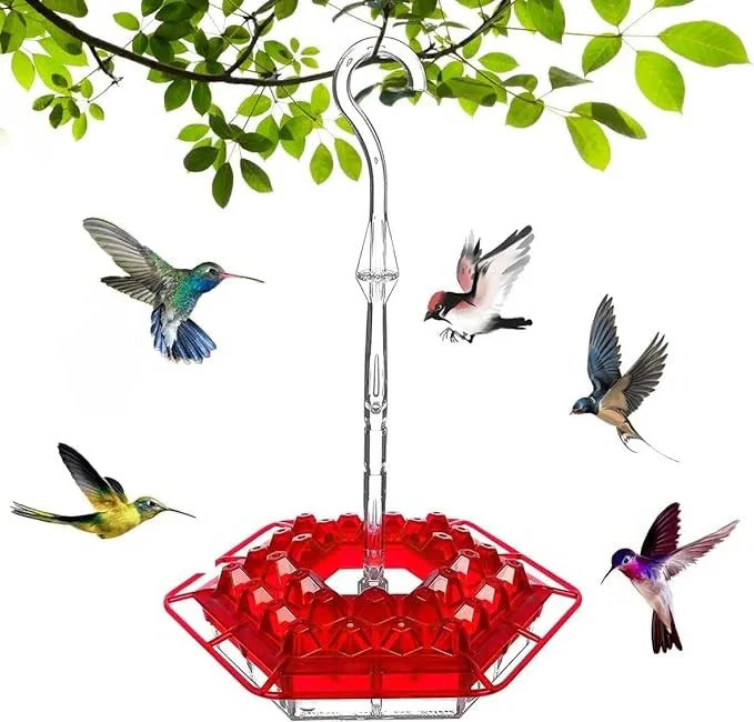 Honingvogel Voeder | 30 Voeropeningen | Hangend ontwerp | Ingebouwde Antivoorziening | UV-bestendig | Makkelijk schoon te maken | Aantrekkelijke Kleuren | Ideaal voor Tuin of Balkon | Dierenbenodigdheden - Image 6