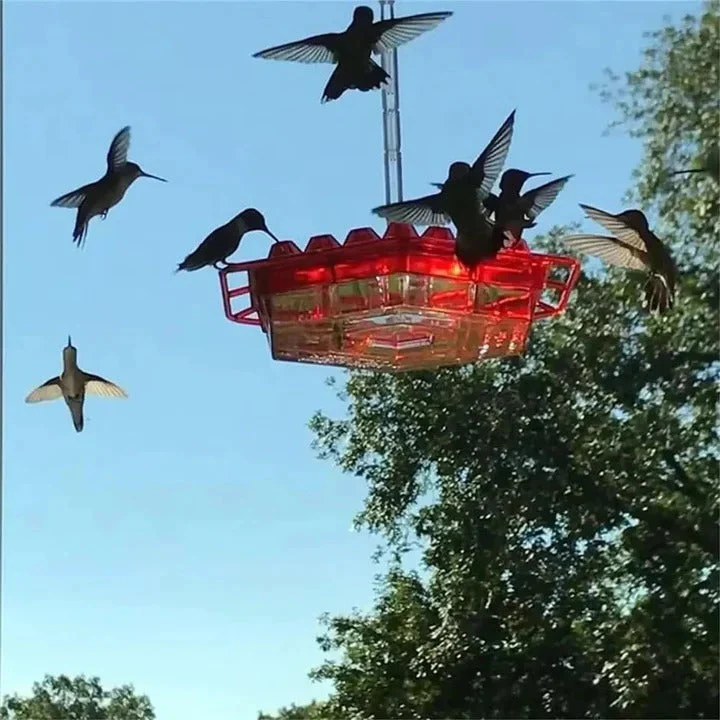 Honingvogel Voeder | 30 Voeropeningen | Hangend ontwerp | Ingebouwde Antivoorziening | UV-bestendig | Makkelijk schoon te maken | Aantrekkelijke Kleuren | Ideaal voor Tuin of Balkon | Dierenbenodigdheden - Image 8