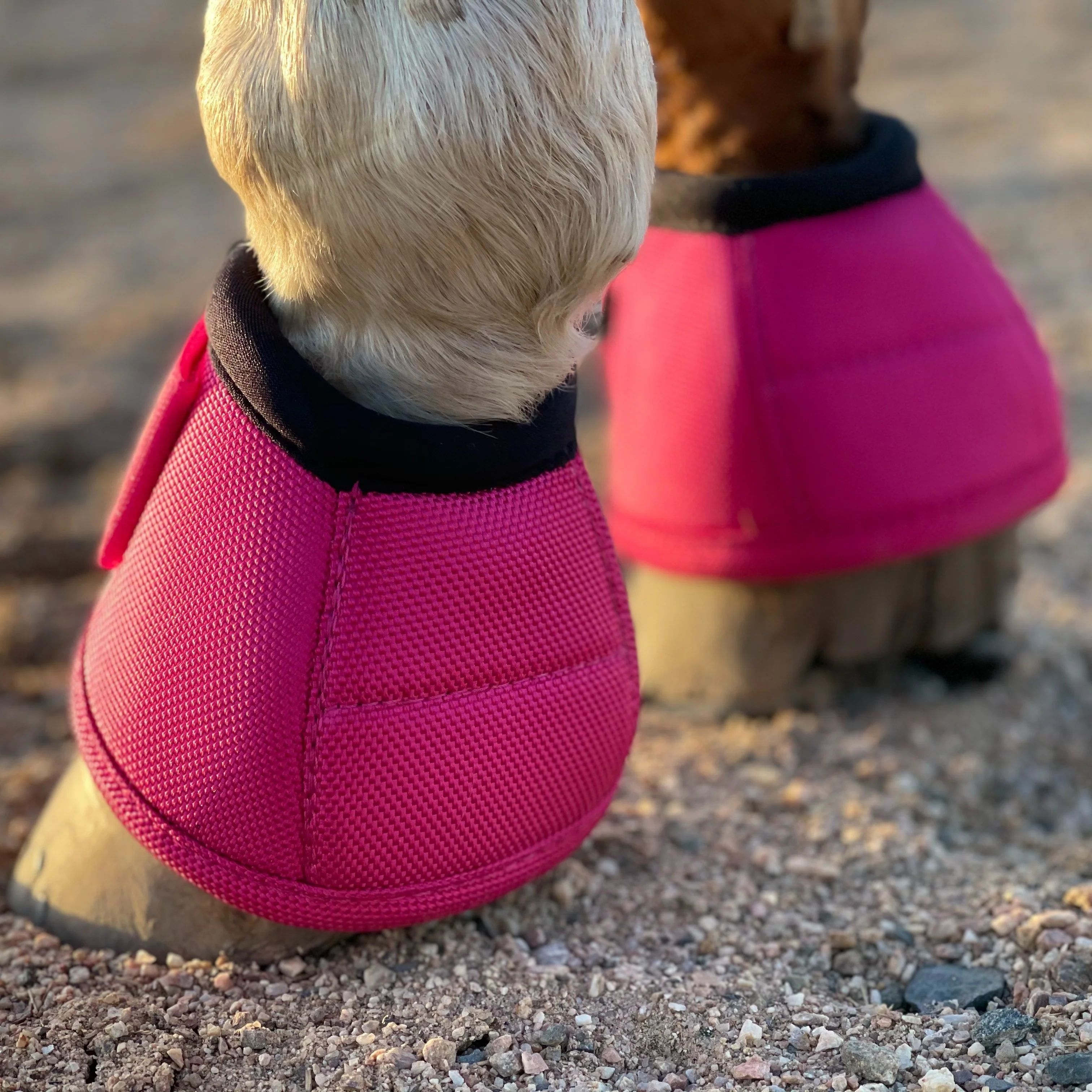 TGW RIDING | Paard Hoefbeschermers Anti-Slip | Nylon | Set van 4 | Zonder Batterij | Dierenbenodigdheden - Image 11