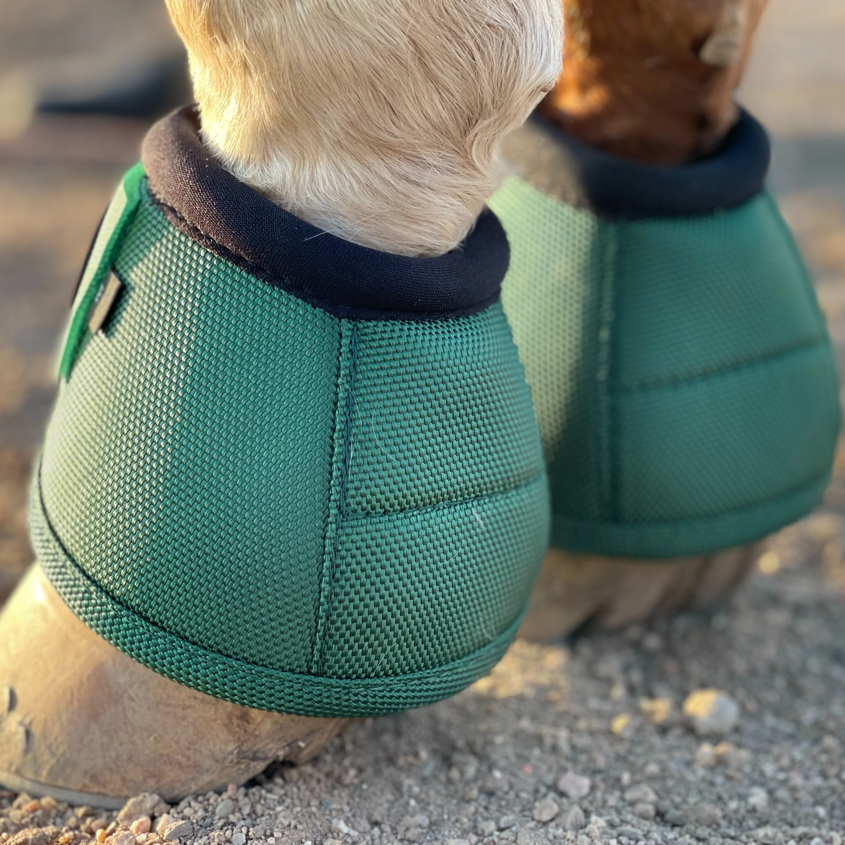 TGW RIDING | Paard Hoefbeschermers Anti-Slip | Nylon | Set van 4 | Zonder Batterij | Dierenbenodigdheden - Image 18