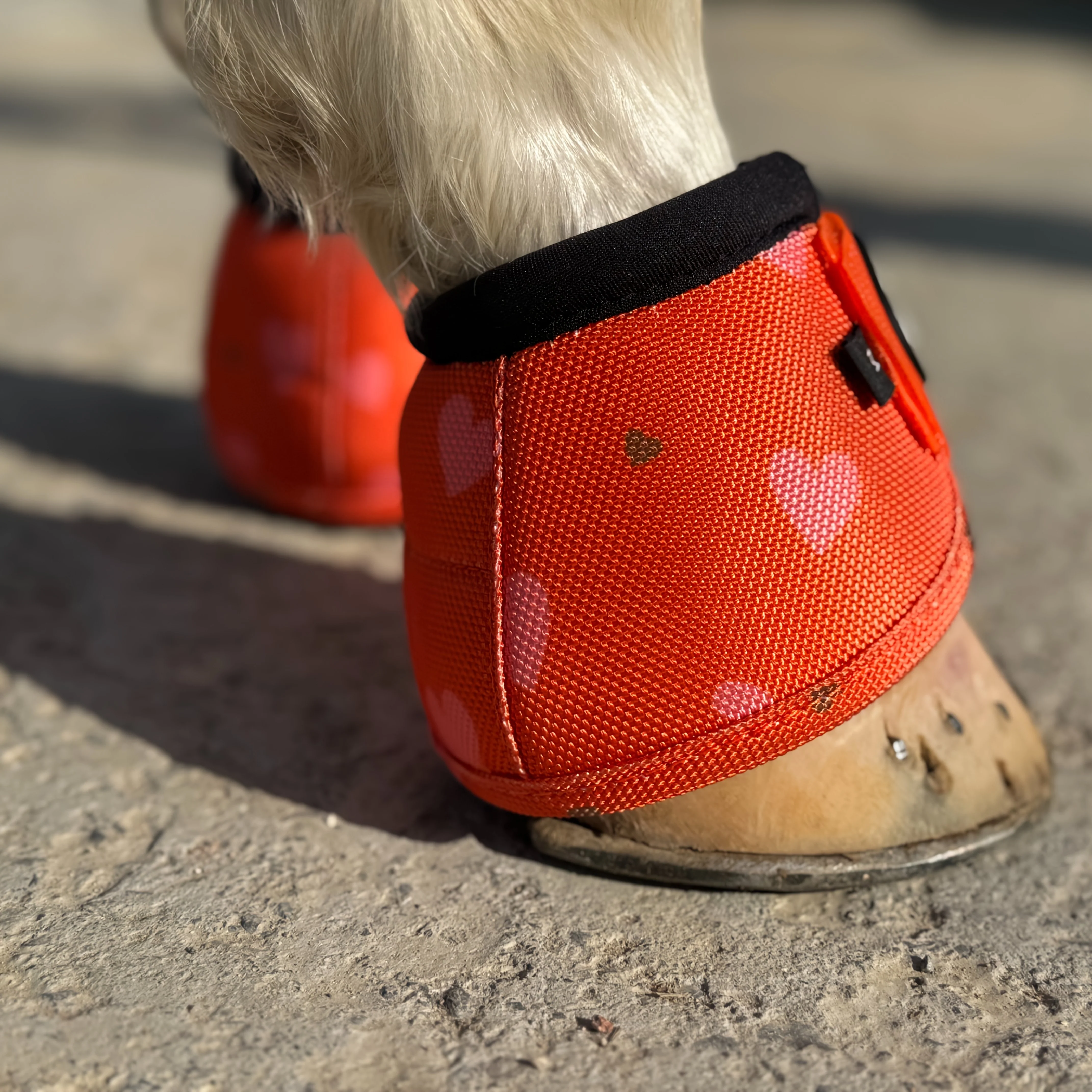 TGW RIDING | Paard Hoefbeschermers Anti-Slip | Nylon | Set van 4 | Zonder Batterij | Dierenbenodigdheden - Image 3