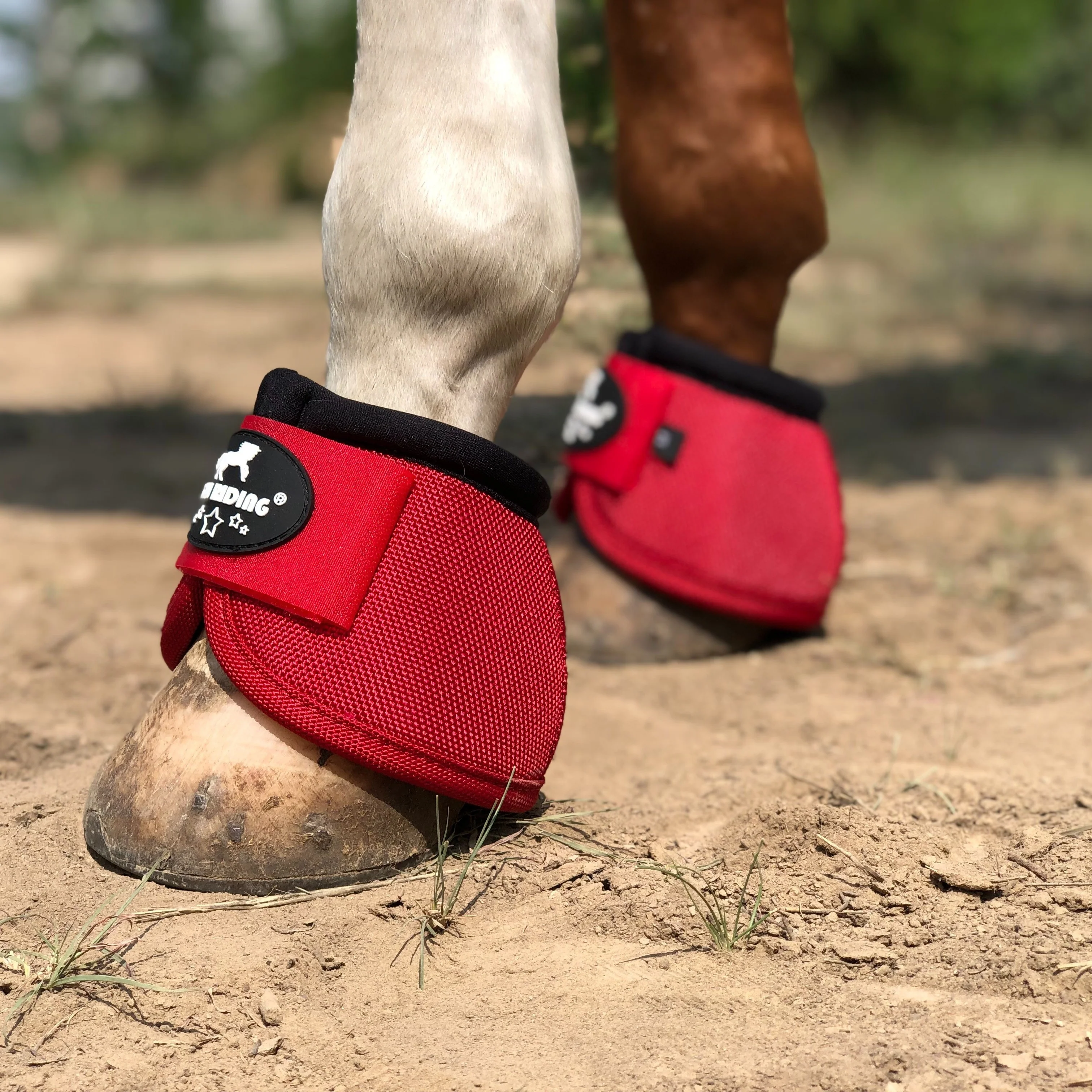TGW RIDING | Paard Hoefbeschermers Anti-Slip | Nylon | Set van 4 | Zonder Batterij | Dierenbenodigdheden - Image 30