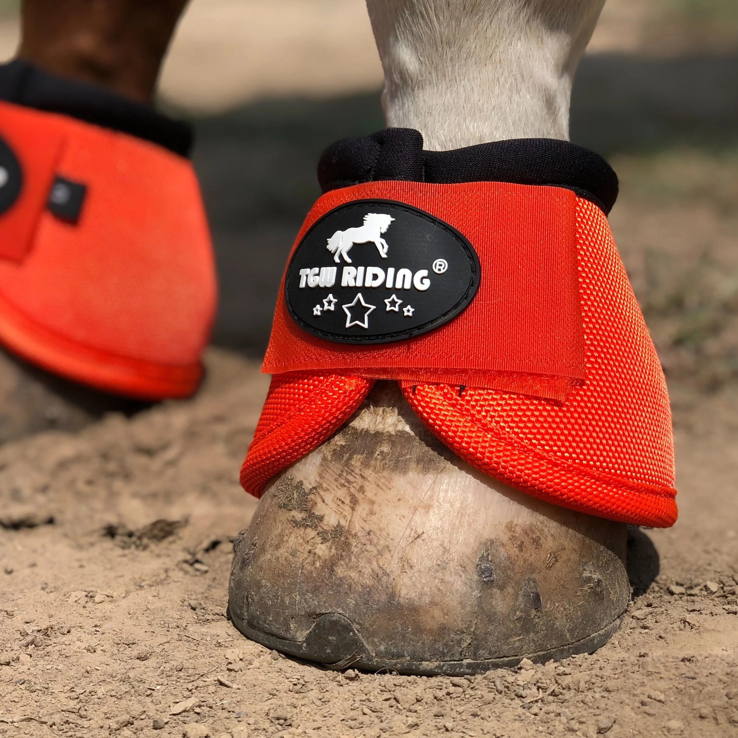 TGW RIDING | Paard Hoefbeschermers Anti-Slip | Nylon | Set van 4 | Zonder Batterij | Dierenbenodigdheden - Image 31
