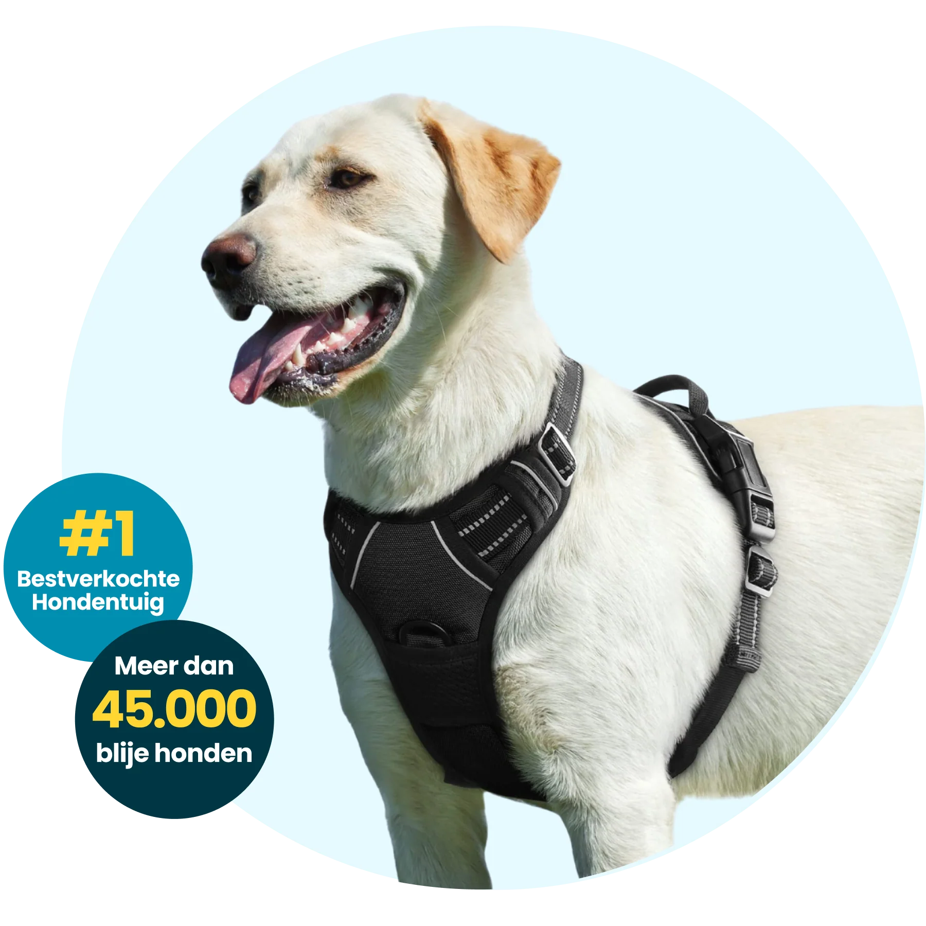 Anti-Trek Hondentuigje | Comfortabel & Veilig | Verstelbaar | Ademend Materiaal | Voor Honden in Training | Reflecterende Elementen | Minder Stress Wandelen | Duurzaam & Betrouwbaar Design