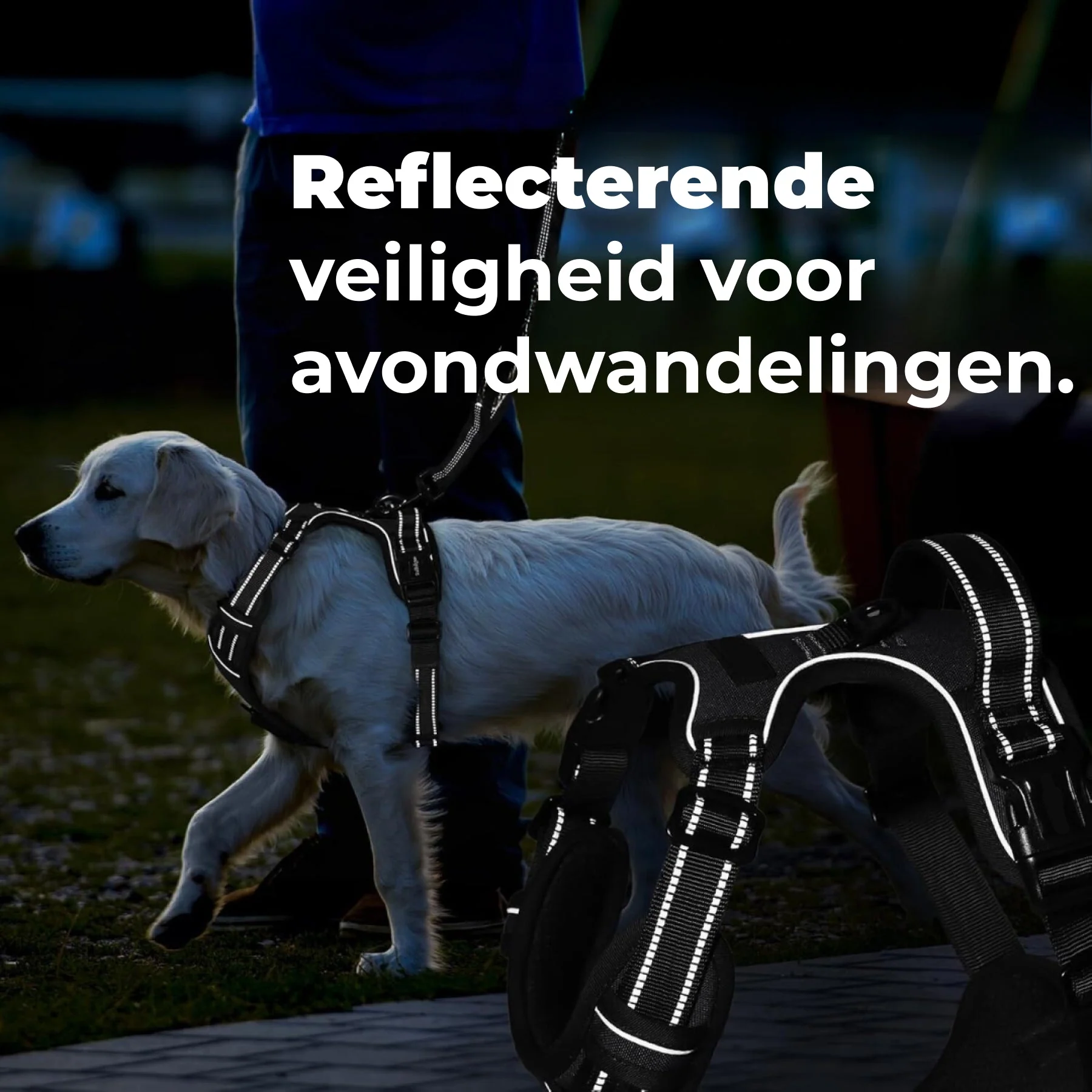 Anti-Trek Hondentuigje | Comfortabel & Veilig | Verstelbaar | Ademend Materiaal | Voor Honden in Training | Reflecterende Elementen | Minder Stress Wandelen | Duurzaam & Betrouwbaar Design - Image 5