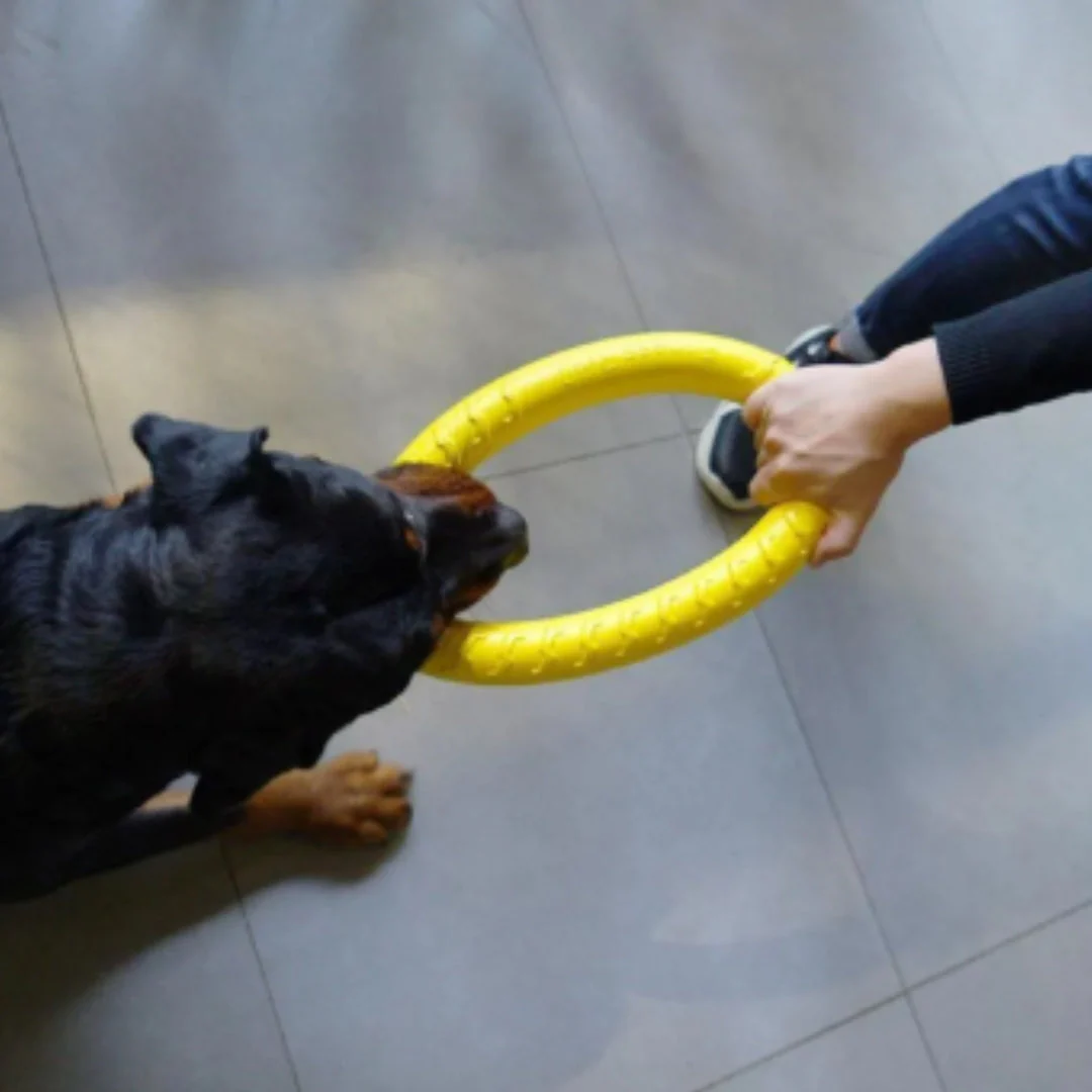 Duurzame Gele Kauwring Voor Honden | Interactief & Stimulerend | Verkrijgbaar in S en L | Rubber - Image 2