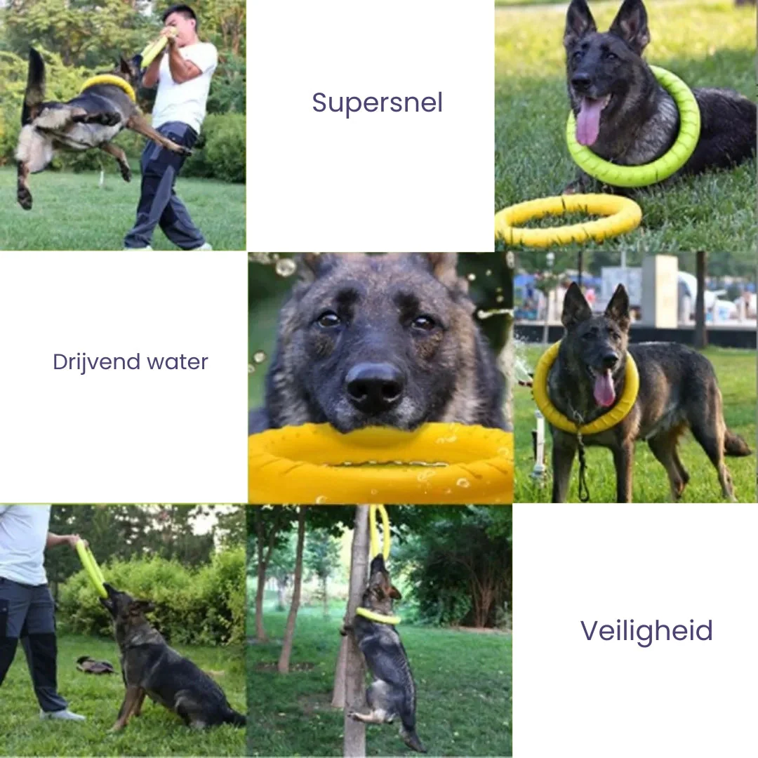Duurzame Gele Kauwring Voor Honden | Interactief & Stimulerend | Verkrijgbaar in S en L | Rubber - Image 4