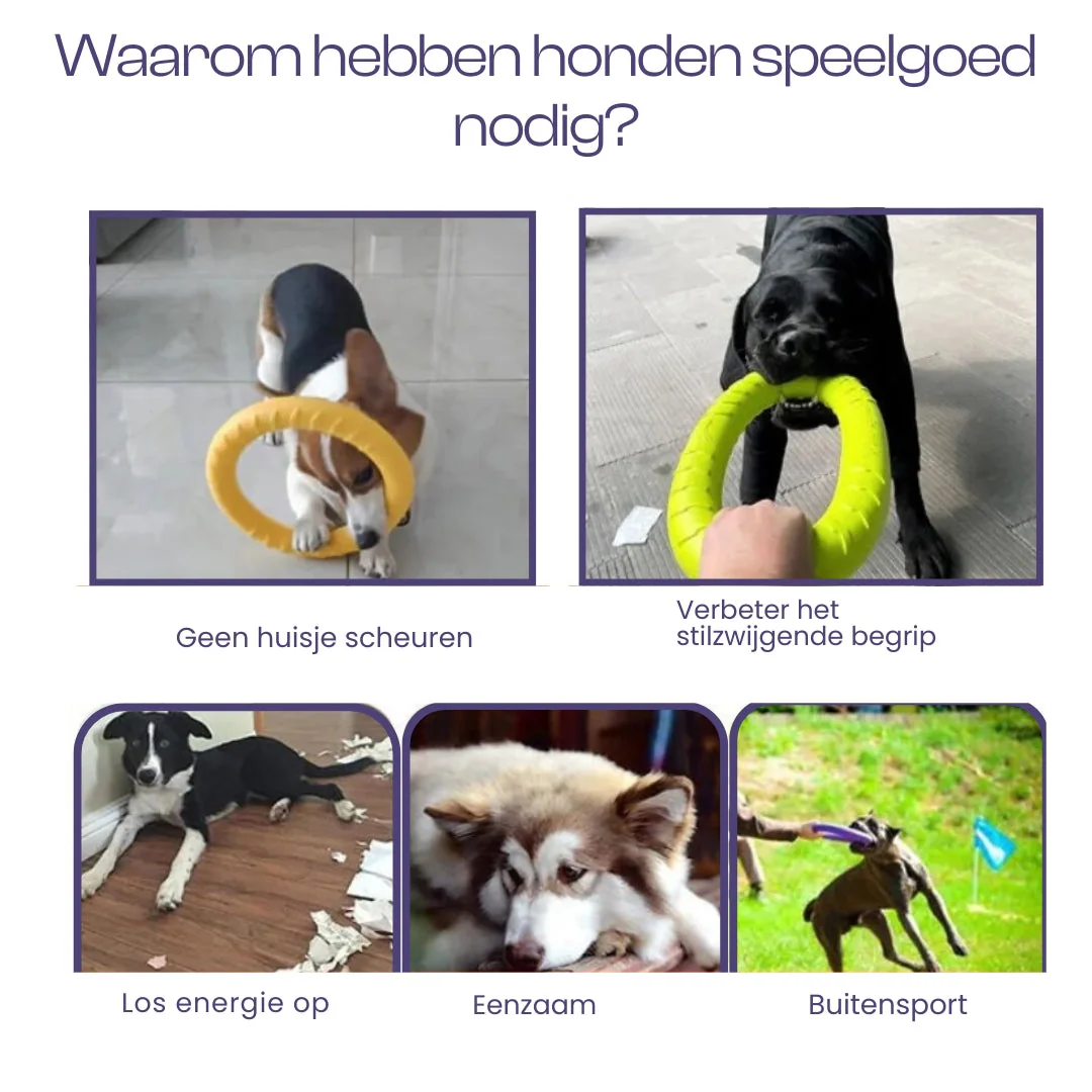 Duurzame Gele Kauwring Voor Honden | Interactief & Stimulerend | Verkrijgbaar in S en L | Rubber - Image 5