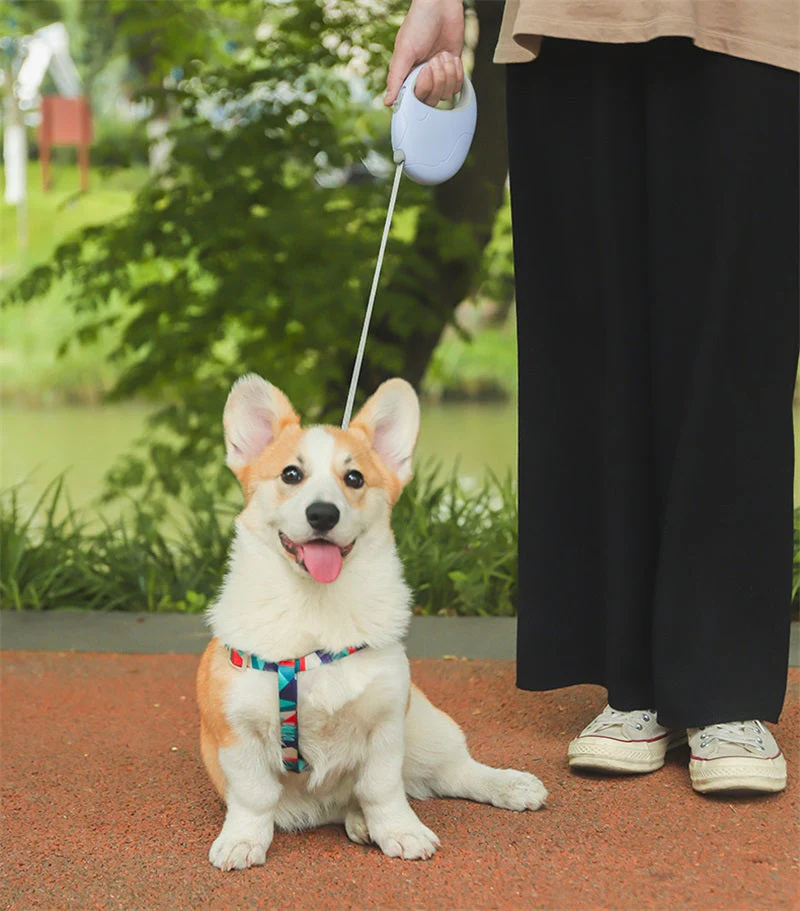 Intrekbare Leiband voor Honden | Pastelkleuren | 3M/5M Lengte | Duurzaam Nylon voor Kleine en Middelgrote Honden | Comfortabel Handvat en Eén-Hand Bedieningssysteem - Image 7