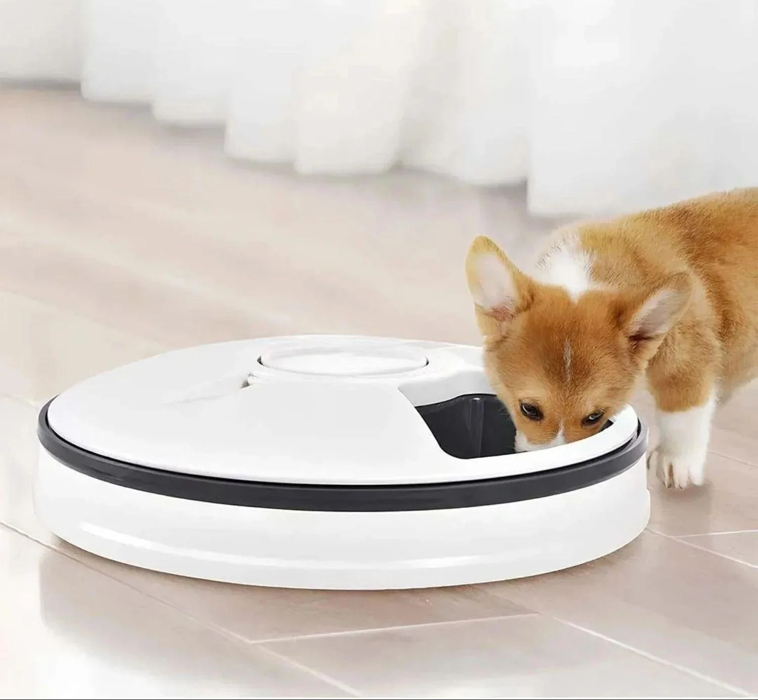 Automatische Voedermaat | Timergestuurde Dispenser voor Katten en Puppy’s