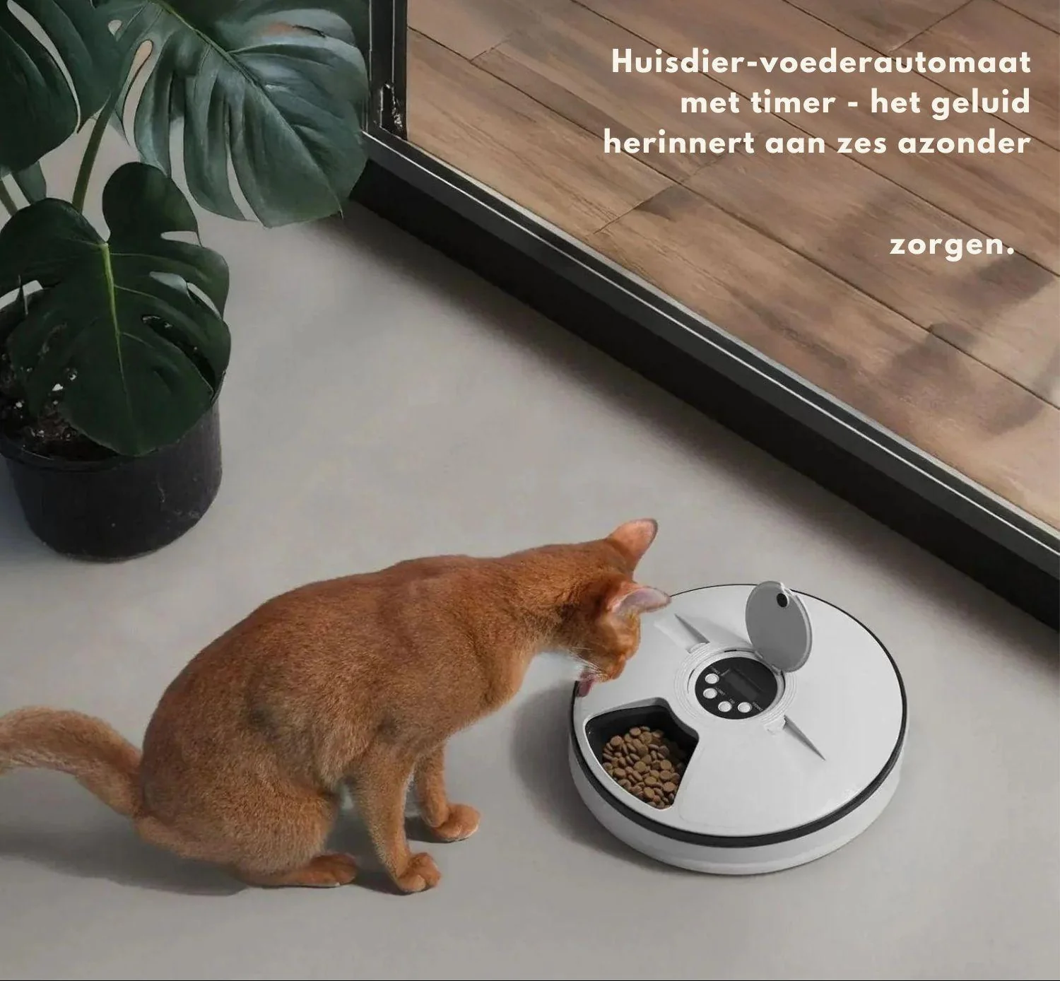 Automatische Voedermaat | Timergestuurde Dispenser voor Katten en Puppy’s - Image 2