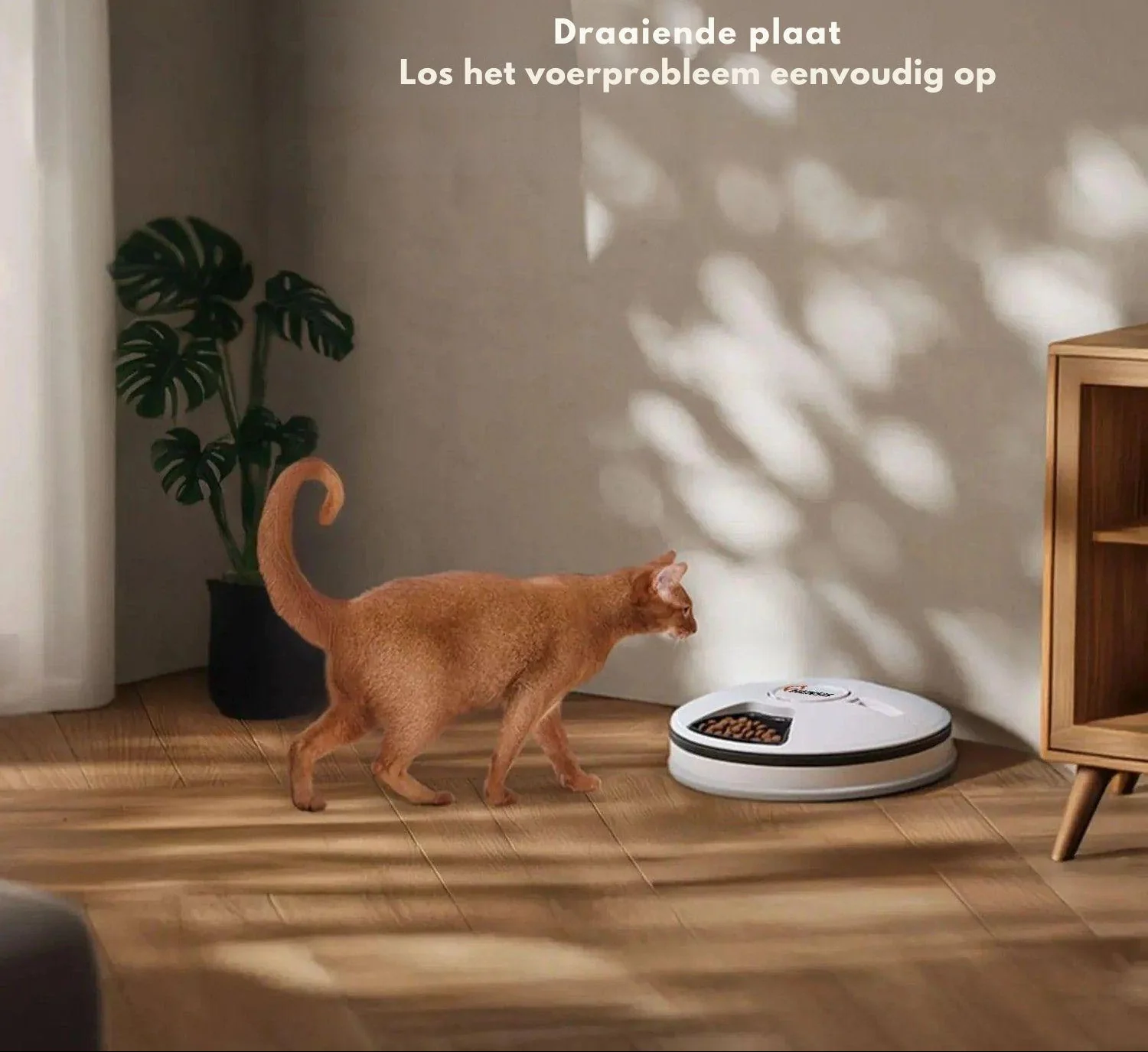 Automatische Voedermaat | Timergestuurde Dispenser voor Katten en Puppy’s - Image 4