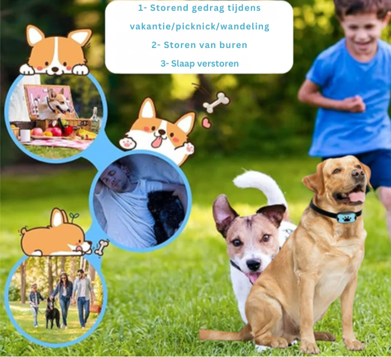 BarkGuard anti-blafhalsband voor honden | Humane trainingshalsband zonder schokken | Instelbare gevoeligheid | Comfortabel en weerbestendig | Voor kleine en middelgrote honden - Image 4