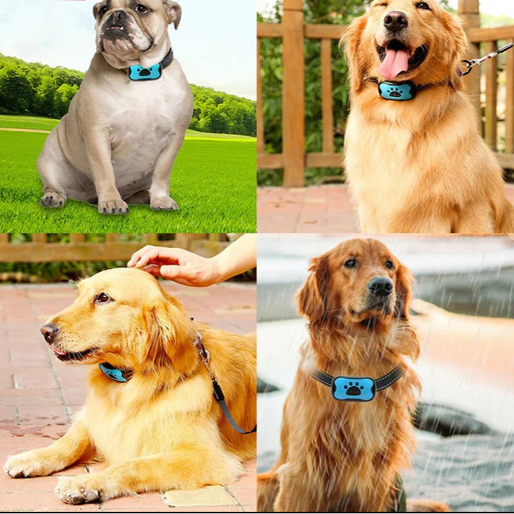 BarkGuard anti-blafhalsband voor honden | Humane trainingshalsband zonder schokken | Instelbare gevoeligheid | Comfortabel en weerbestendig | Voor kleine en middelgrote honden - Image 6