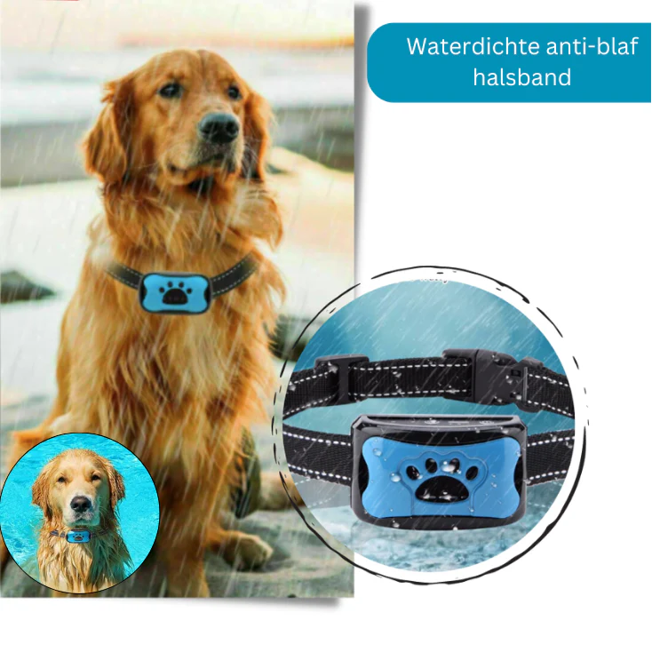 BarkGuard anti-blafhalsband voor honden | Humane trainingshalsband zonder schokken | Instelbare gevoeligheid | Comfortabel en weerbestendig | Voor kleine en middelgrote honden - Image 7
