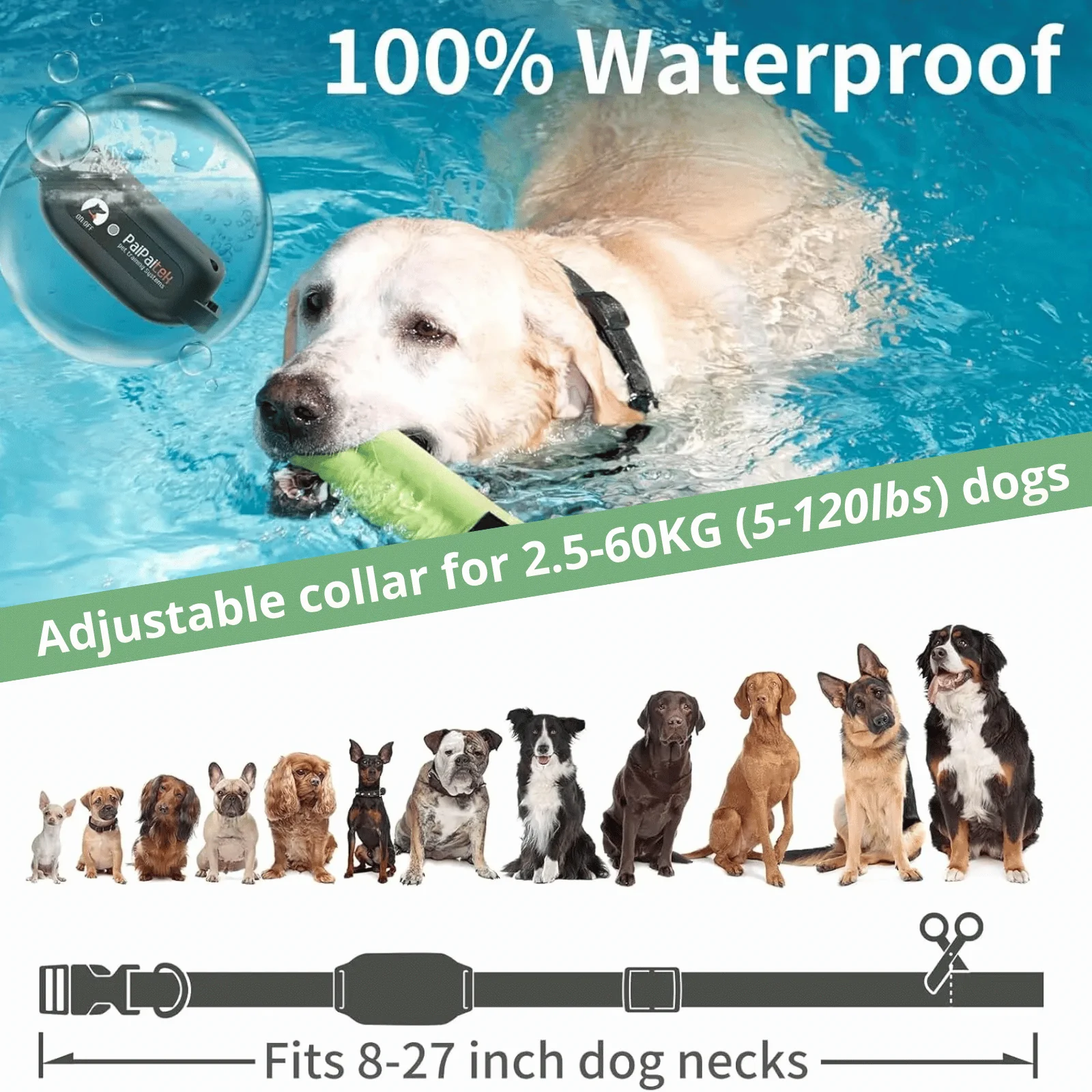 BarkShield Anti-blafband | Geluid & Vibratie | Oplaadbaar & Waterdicht | Vermindert Blaffen | Voor Alle Honden | 975m Bereik | Diervriendelijk Blaftraining | Verstelbare Pasvorm | Zonder Schokken - Image 11