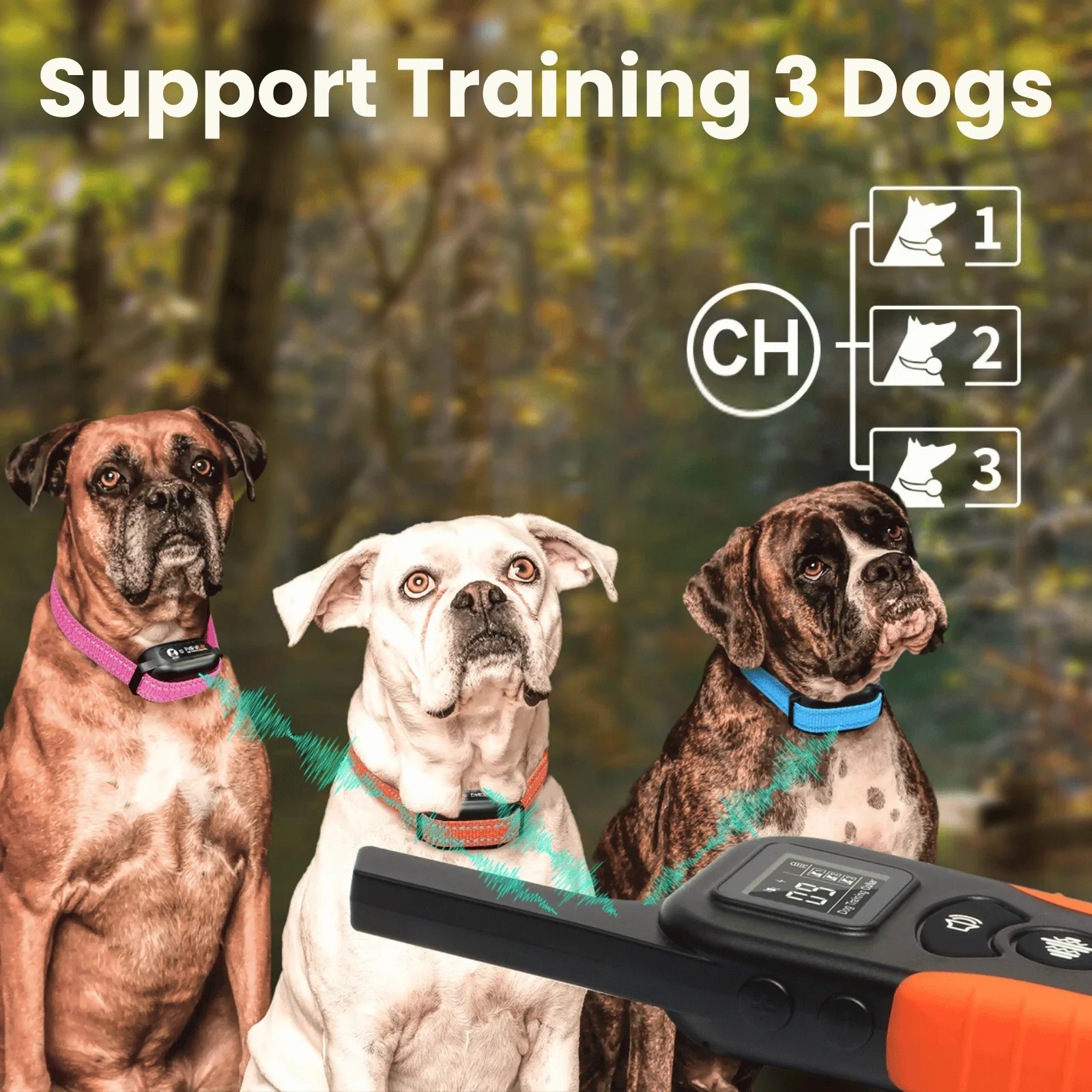 BarkShield Anti-blafband | Geluid & Vibratie | Oplaadbaar & Waterdicht | Vermindert Blaffen | Voor Alle Honden | 975m Bereik | Diervriendelijk Blaftraining | Verstelbare Pasvorm | Zonder Schokken - Image 9