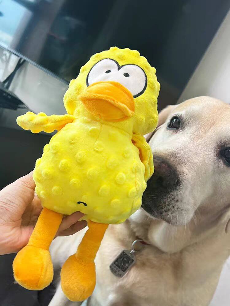 Kauwspeeltje voor honden | Stevige knuffelbeer van duurzaam polyester | Ideaal voor sterke kauwers | Zacht & rijk ontwerp | Stressvermindering - Image 7