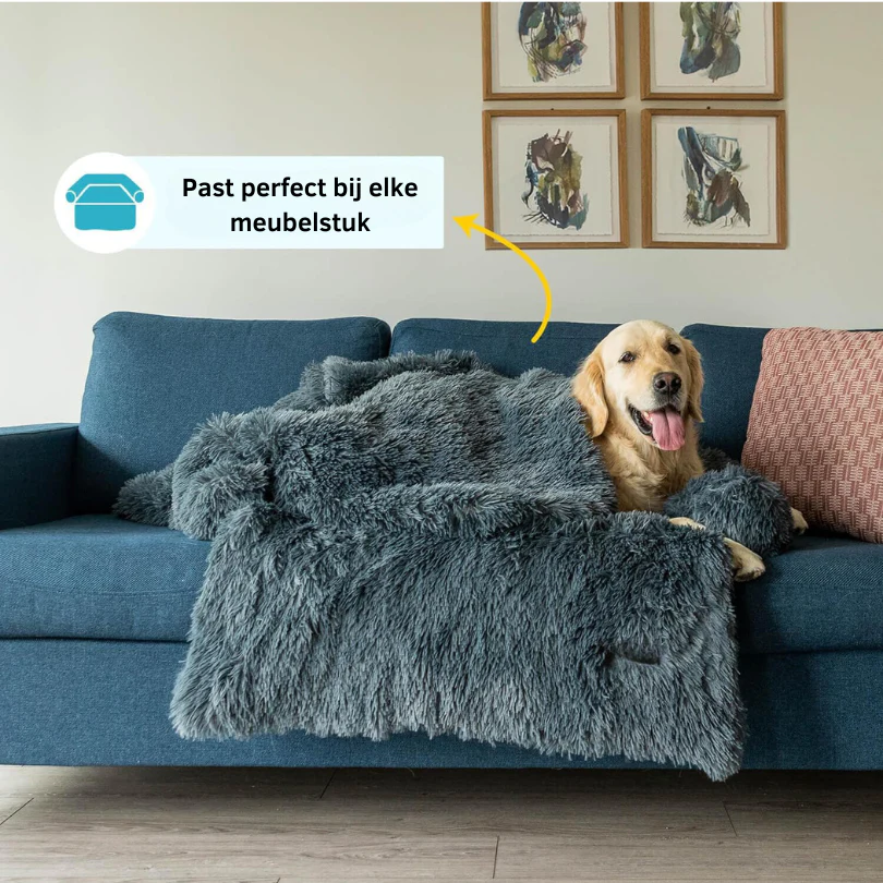 Buddy | Luxe Zachte Honden Deken | Slaapverbeteraar | Chemicaliënvrij | Veelzijdige Huisdecoratie - Image 3