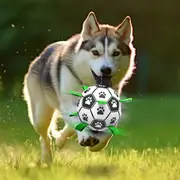 Duurzame Apporteerbal met Grijplipjes | Interactief Kauwspeelgoed voor Honden | Rubberen Voetbal voor Middelgrote en Grote Honden | Binnen- en Buitenplezier | Bevordert Gezond Gebit - Image 11