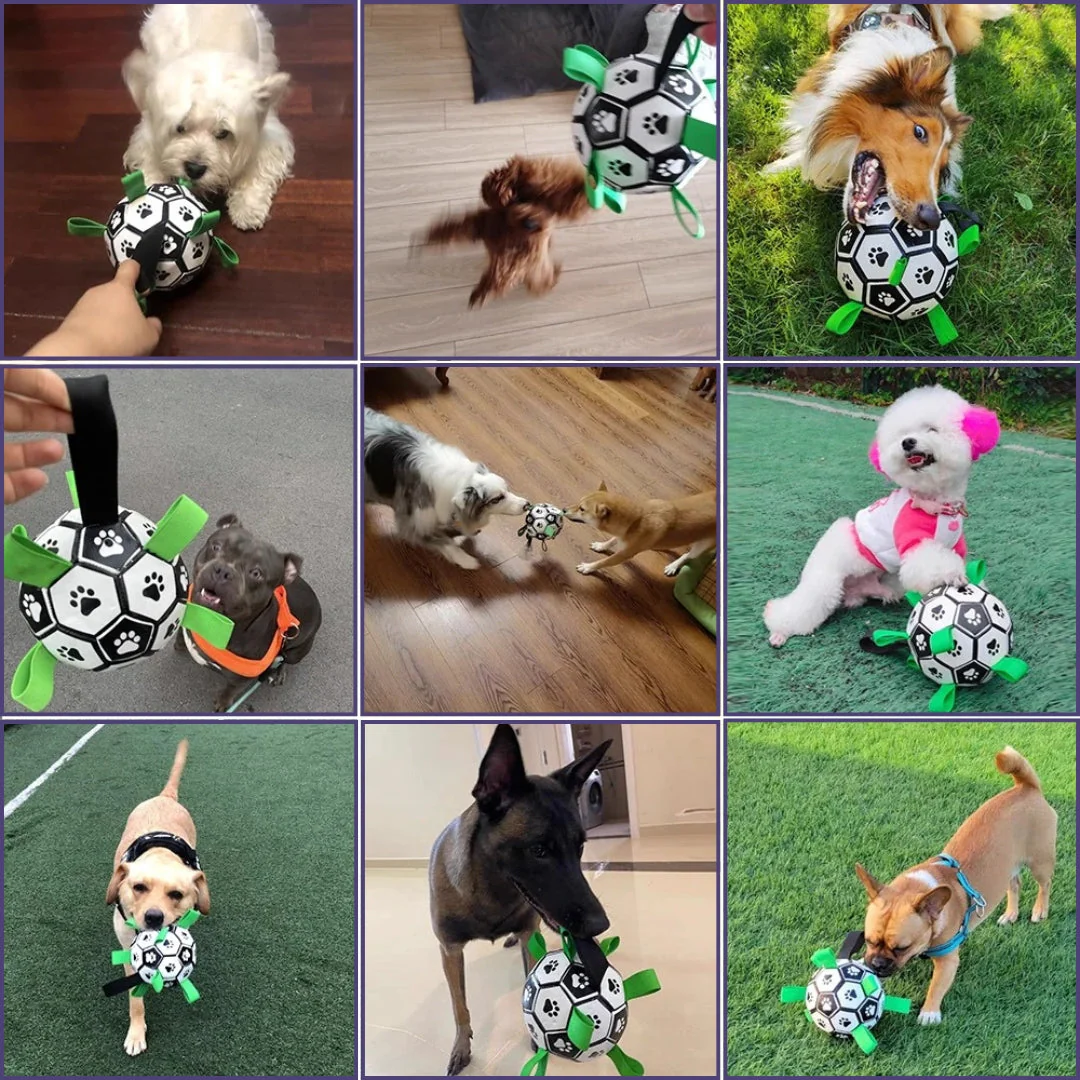 Duurzame Apporteerbal met Grijplipjes | Interactief Kauwspeelgoed voor Honden | Rubberen Voetbal voor Middelgrote en Grote Honden | Binnen- en Buitenplezier | Bevordert Gezond Gebit - Image 6
