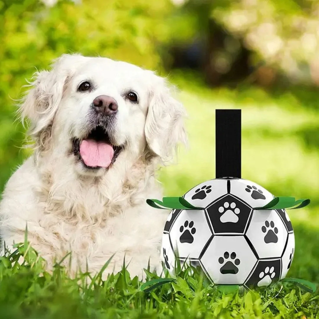 Duurzame Apporteerbal met Grijplipjes | Interactief Kauwspeelgoed voor Honden | Rubberen Voetbal voor Middelgrote en Grote Honden | Binnen- en Buitenplezier | Bevordert Gezond Gebit - Image 7