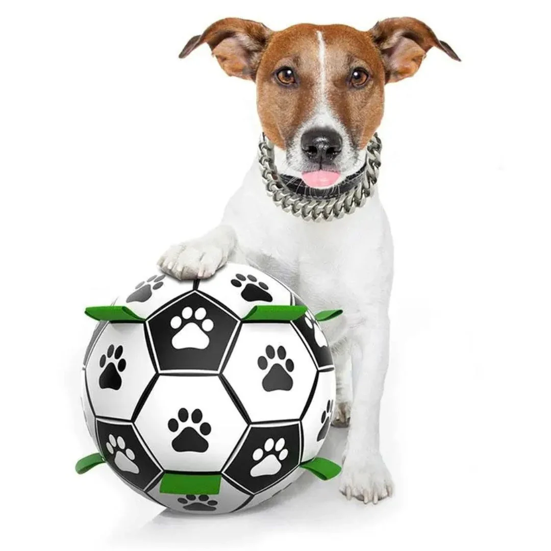 Duurzame Apporteerbal met Grijplipjes | Interactief Kauwspeelgoed voor Honden | Rubberen Voetbal voor Middelgrote en Grote Honden | Binnen- en Buitenplezier | Bevordert Gezond Gebit - Image 8