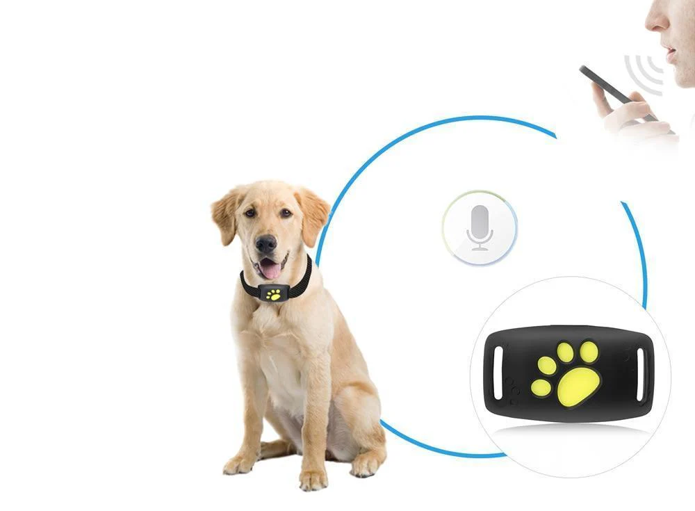 Cat GPS Tracker – Echtzeit-Ortung ohne Abo - Image 4