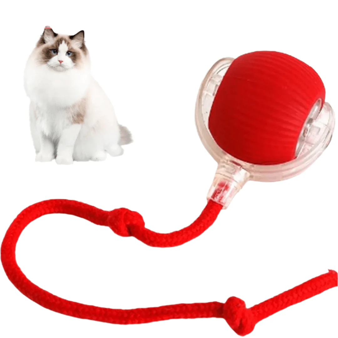 1+1 gratis CatMotion - Minimaliseert stress door regelmatige uitdagingen