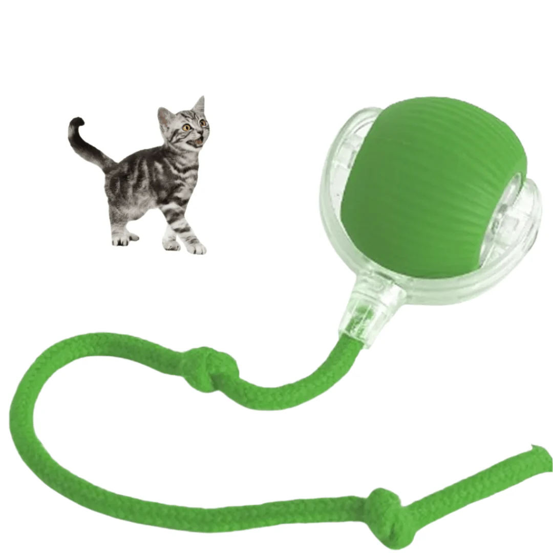 1+1 gratis CatMotion - Minimaliseert stress door regelmatige uitdagingen - Image 2