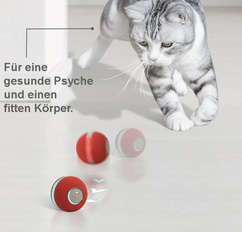 Cheerble® Interactieve Bal 2.0 | Slim Speelgoed met 360° Sensoren voor Katten en Kleine Honden | USB-oplaadbaar | 4 Uur Plezier - Image 3