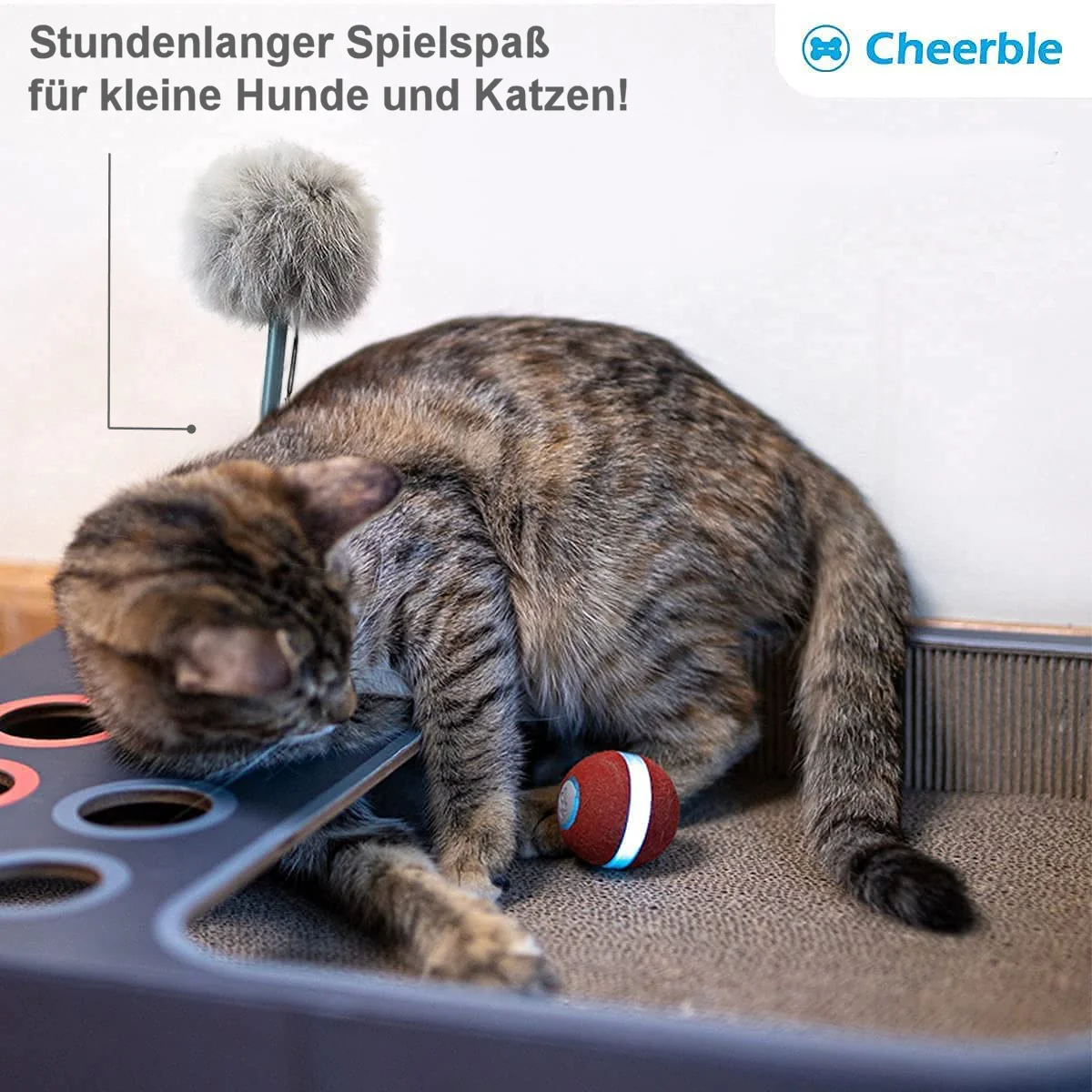 Cheerble® Interactieve Bal 2.0 | Slim Speelgoed met 360° Sensoren voor Katten en Kleine Honden | USB-oplaadbaar | 4 Uur Plezier - Image 4