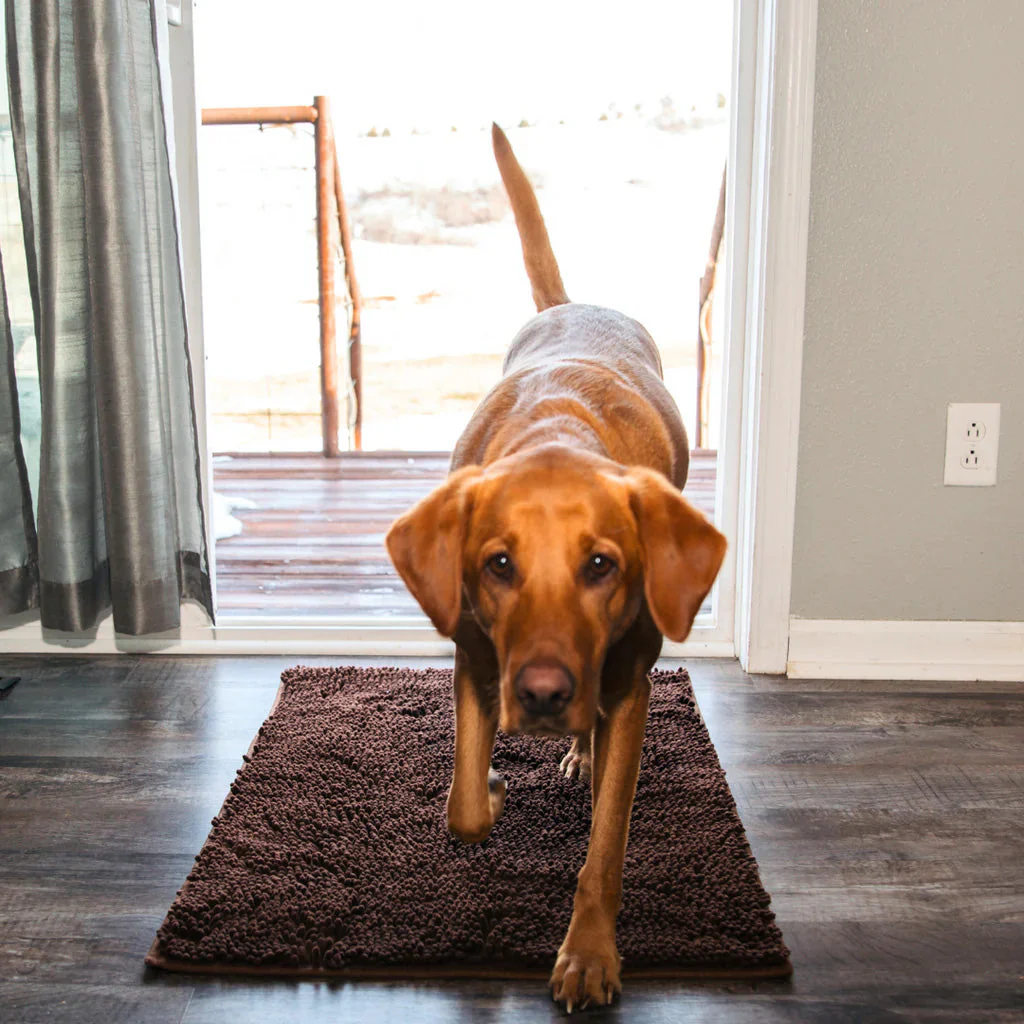 CleanPaw | Hou Je Huis Schoon, Voorkom Modderige Pootafdrukken Na Wandelingen Met Je Hond - Image 12