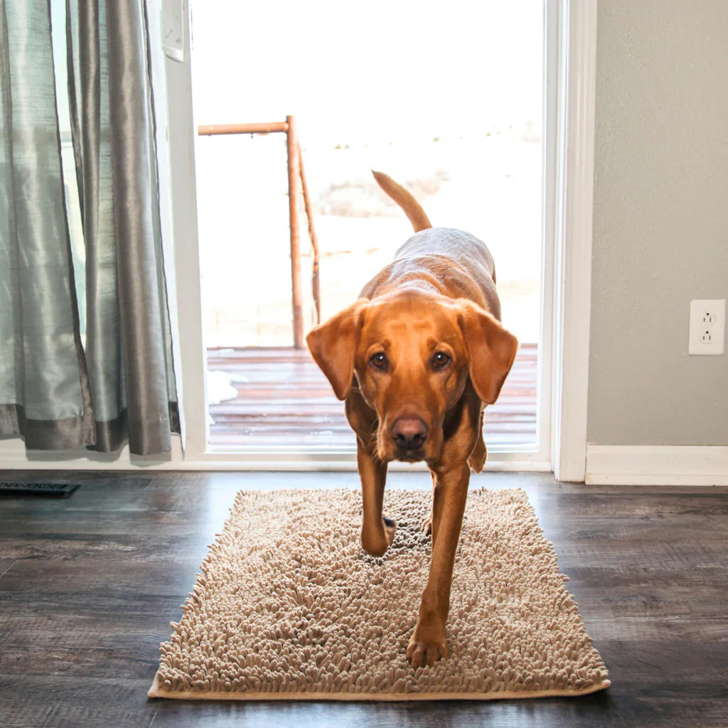 CleanPaw | Hou Je Huis Schoon, Voorkom Modderige Pootafdrukken Na Wandelingen Met Je Hond - Image 13
