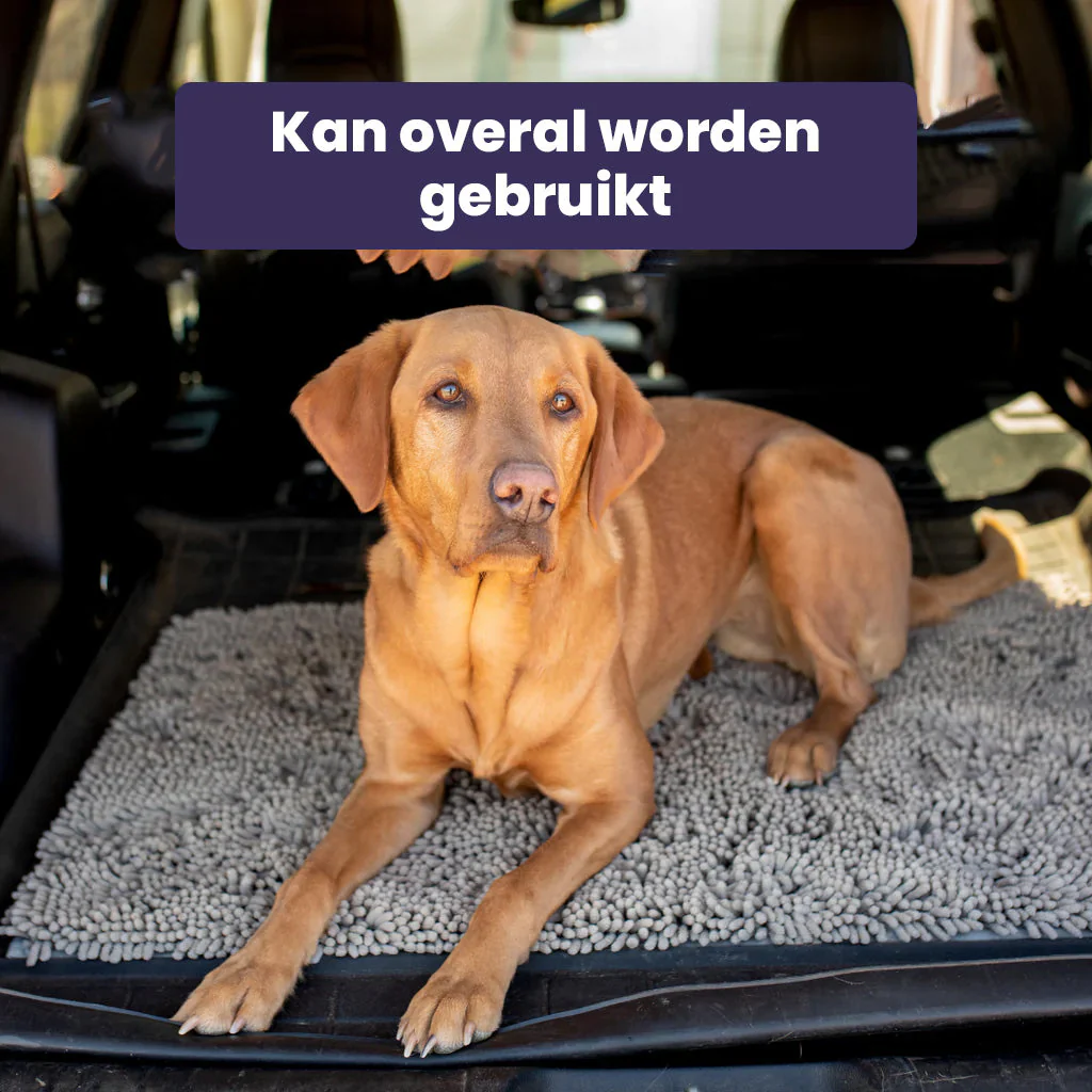 CleanPaw | Hou Je Huis Schoon, Voorkom Modderige Pootafdrukken Na Wandelingen Met Je Hond - Image 7