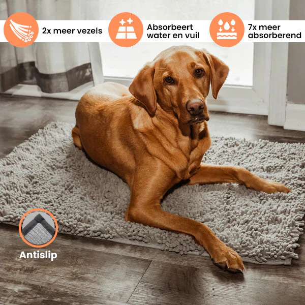 CleanPaw | Hou Je Huis Schoon, Voorkom Modderige Pootafdrukken Na Wandelingen Met Je Hond - Image 9