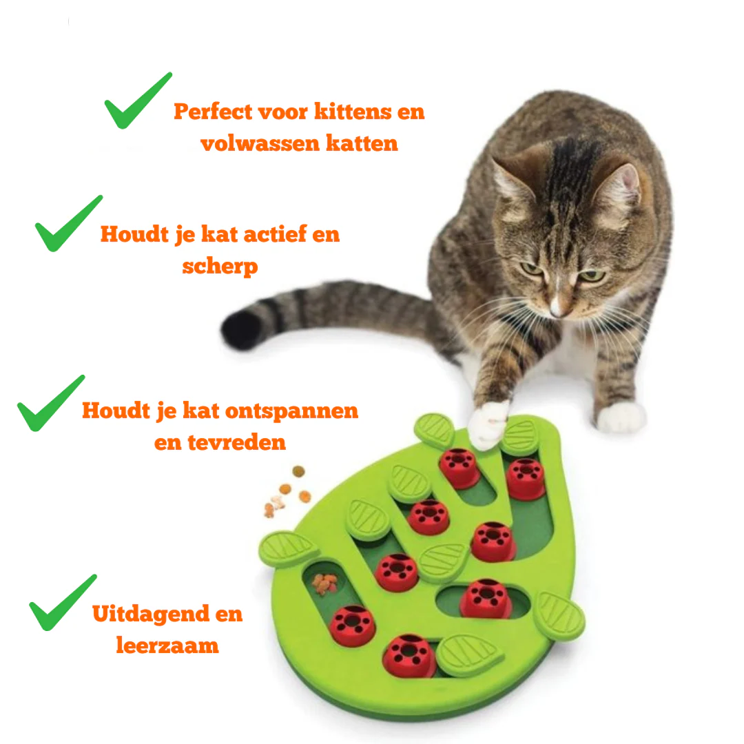 Miniatuur 2