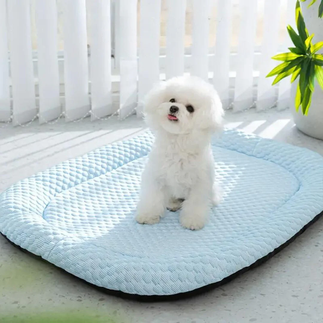 Superzacht IJszijde Hondenbed | Traagschuim Ondersteuning | Wasbaar & Ademend | Verschillende Maten | Koel & Comfortabel | Geschikt Voor Kleine/Middelgrote Honden | Antislip Bodem - Image 2