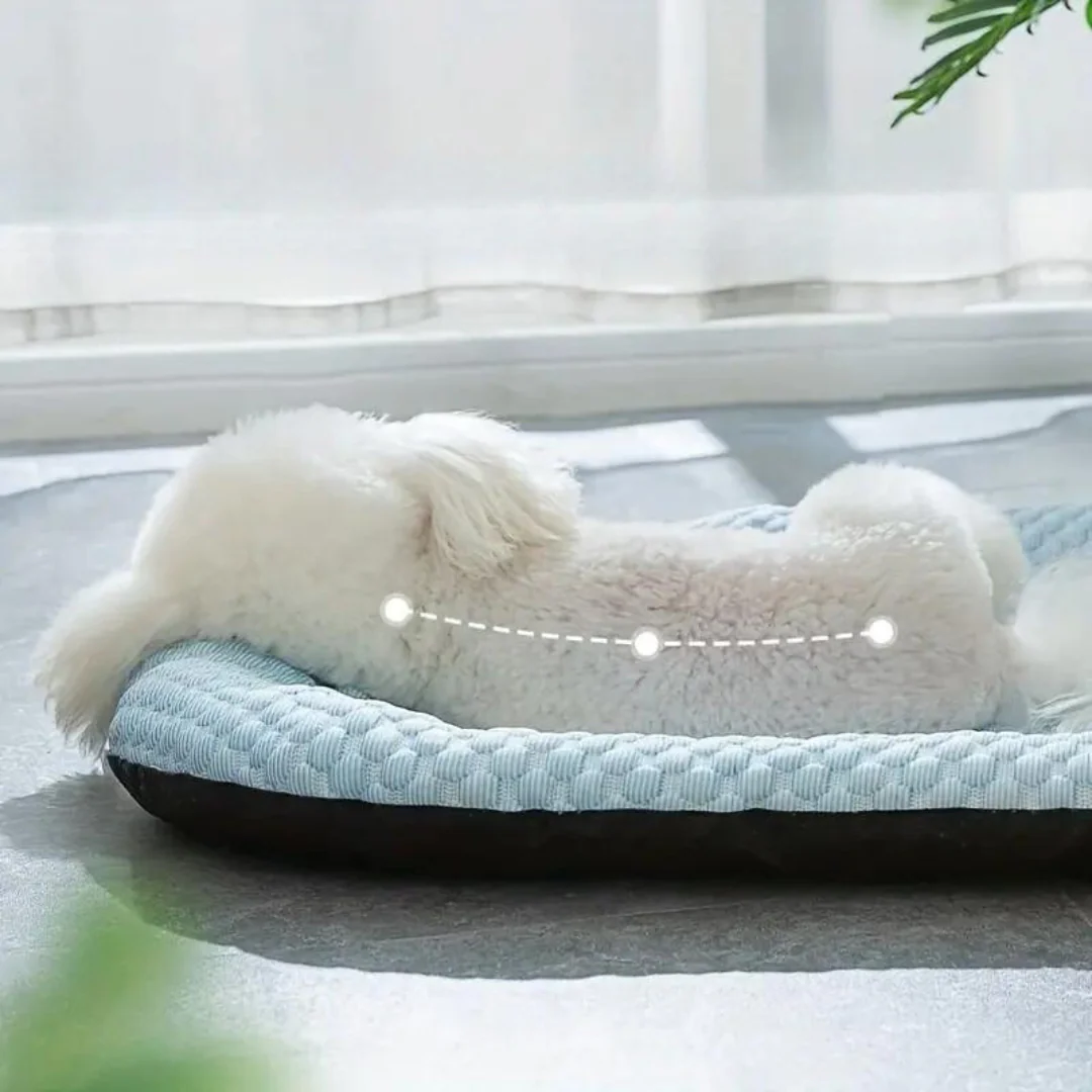 Superzacht IJszijde Hondenbed | Traagschuim Ondersteuning | Wasbaar & Ademend | Verschillende Maten | Koel & Comfortabel | Geschikt Voor Kleine/Middelgrote Honden | Antislip Bodem - Image 7