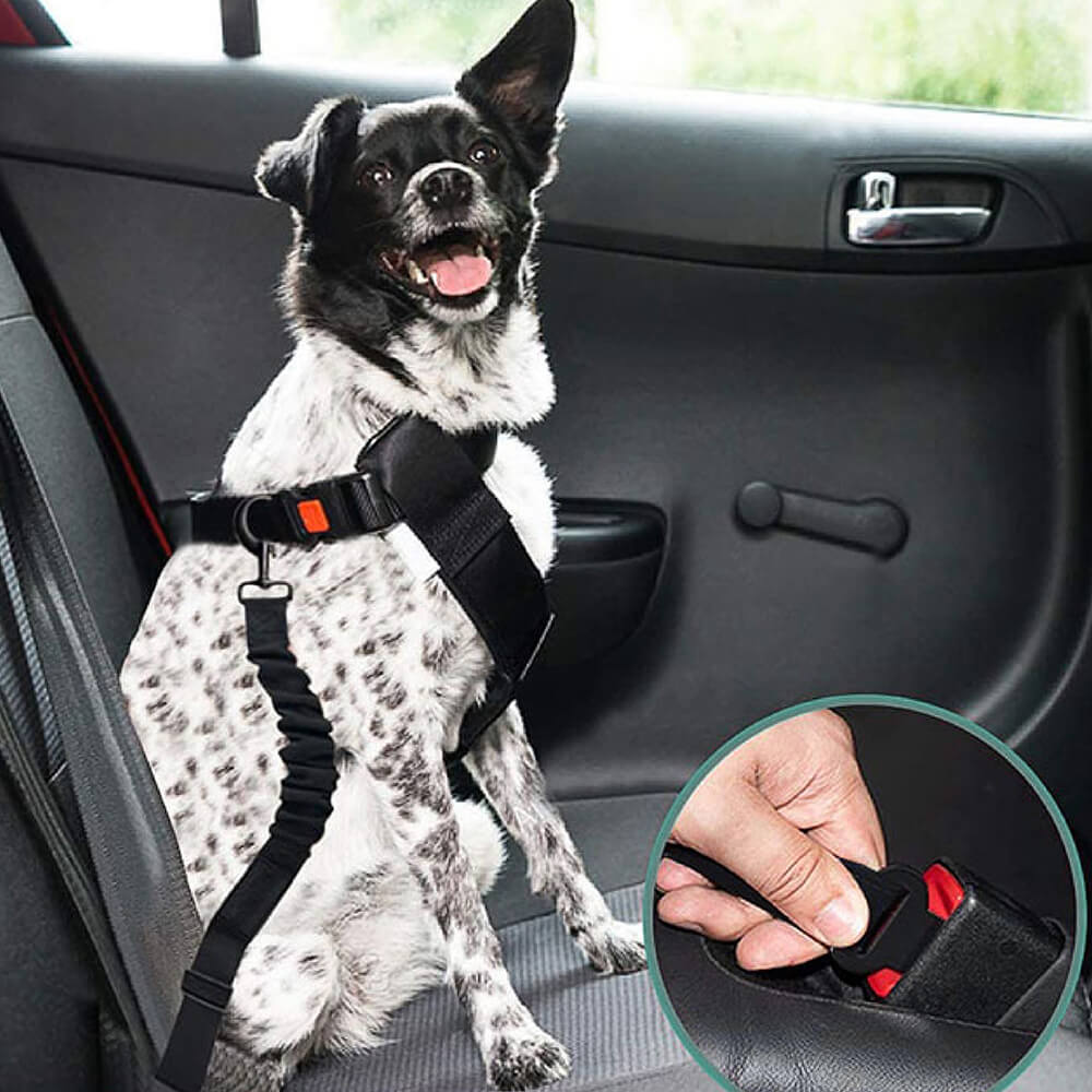 CoolPaw Buffer | Verstelbare Reflecterende Hondenriem voor Auto | Veilig & Comfortabel | Elastisch & Duurzaam | Past op Alle Harnassen - Image 19
