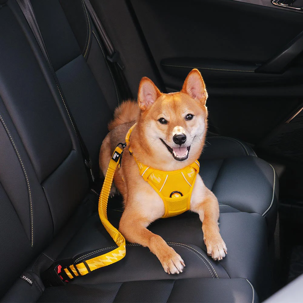 CoolPaw Buffer | Verstelbare Reflecterende Hondenriem voor Auto | Veilig & Comfortabel | Elastisch & Duurzaam | Past op Alle Harnassen - Image 2