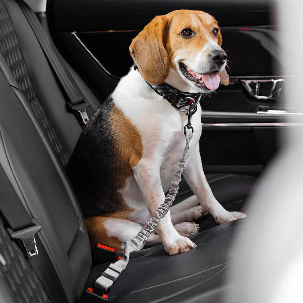 CoolPaw Buffer | Verstelbare Reflecterende Hondenriem voor Auto | Veilig & Comfortabel | Elastisch & Duurzaam | Past op Alle Harnassen - Image 20